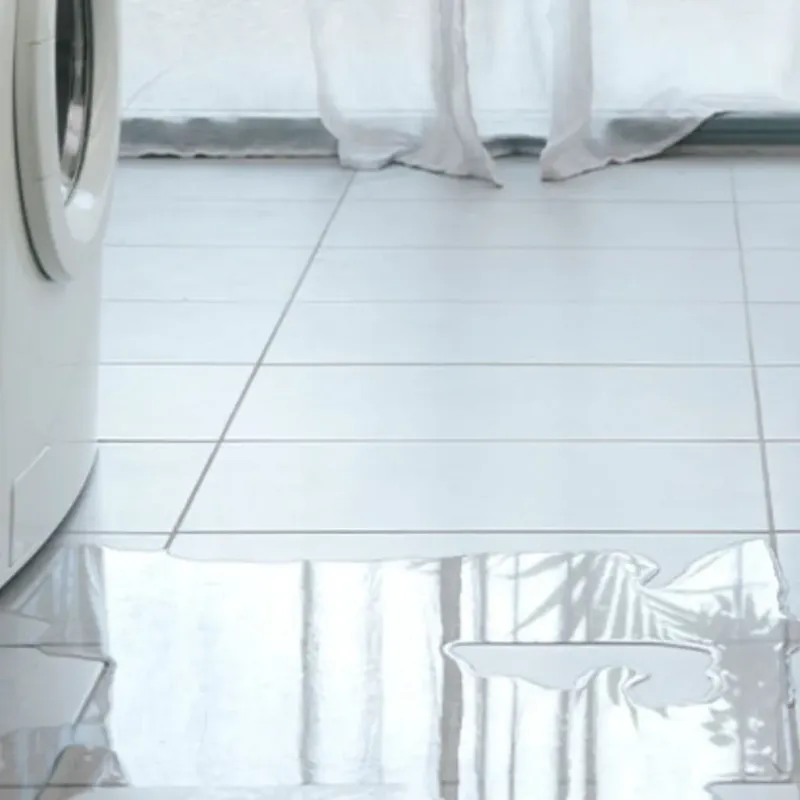 Appliance Leak Cleanup in Lake Mills, WI