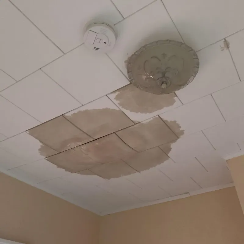 Ceiling Water Damage Repair in Lake Mills, WI
