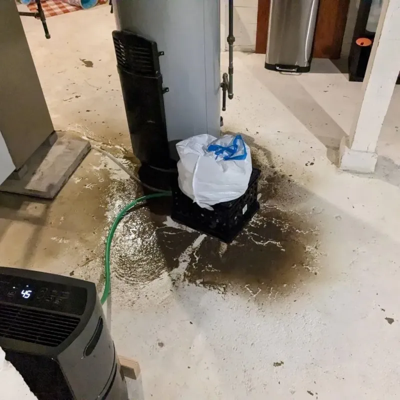 Sewage Backup Cleanup Service in Lake Mills, WI